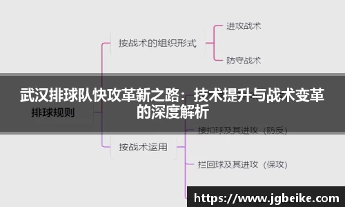 武汉排球队快攻革新之路：技术提升与战术变革的深度解析